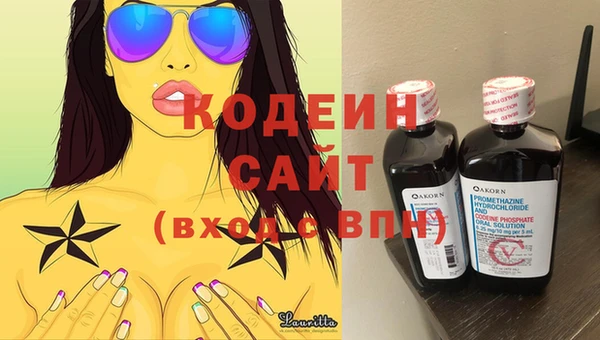 индика Вязники